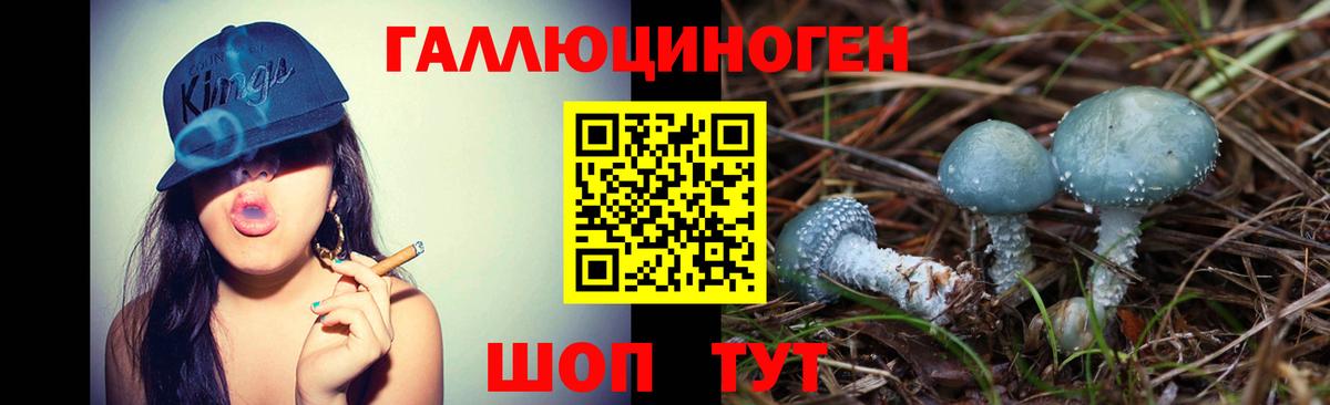 Псилоцибиновые грибы GOLDEN TEACHER  Псилоцибиновые грибы прущие грибы  Алексеевка  Вход с VPN 