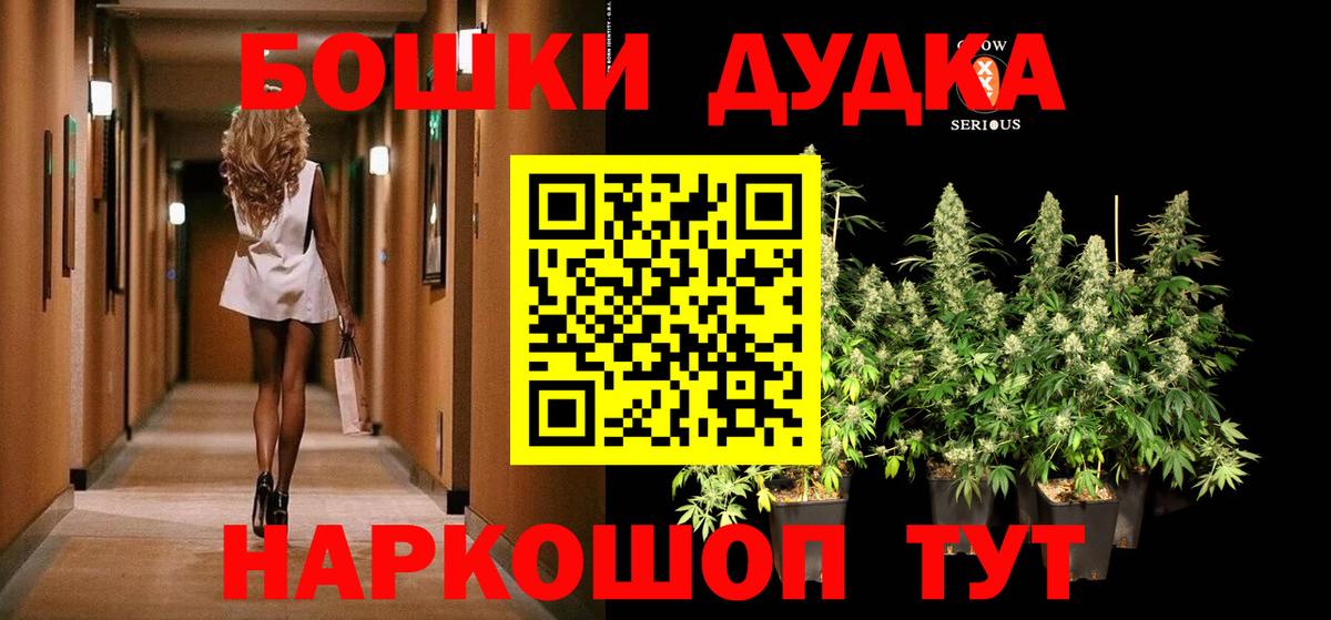 Бошки Шишки семена Алексеевка